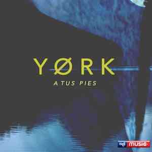 York - A Tus Pies.jpeg